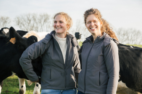 2 collega's in een weide met koeien